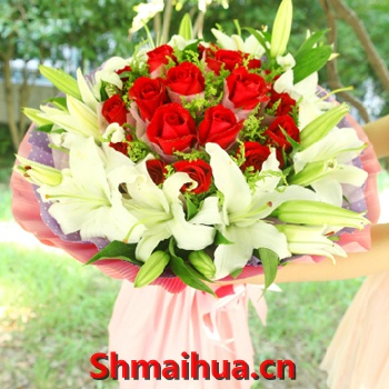 重量级的爱-红玫瑰19枝，多头白色香水百合6枝，情人草适量 中档包装。圆形花束！港式蝴蝶结