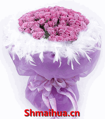 99玫瑰 浪漫情怀-紫精灵玫瑰99支（特殊花材，请提前订购）；紫色新娘纱圆形包装，白色羽毛装饰，法式蝴蝶结束扎
