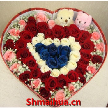 醇香久-66朵(蓝玫瑰+白玫瑰+红玫瑰+粉玫瑰)+1对小熊（以实物为准），点缀配材。精美礼盒包装