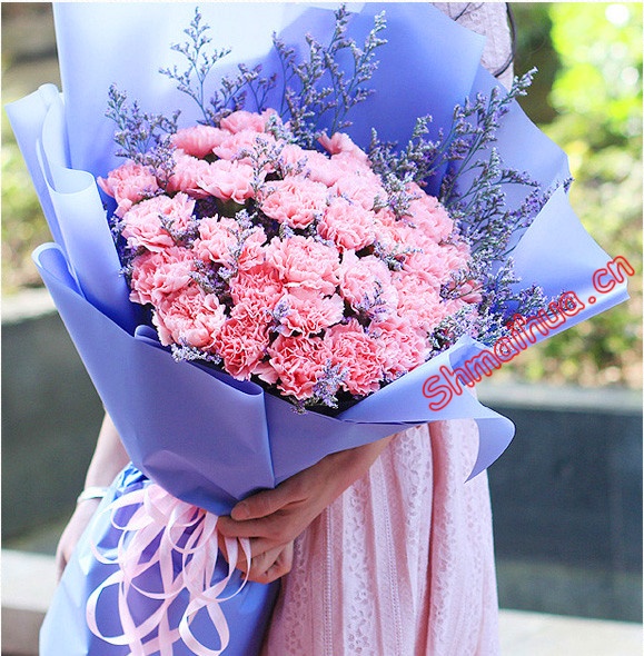 健康快乐-33朵粉色康乃馨，情人草或满天星丰满间插,蓝色雾面纸双层扇形包装，粉色丝带束扎