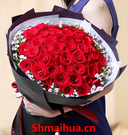 玫瑰66 快乐的爱-66枝红玫瑰，黄莺满天星配花围绕,如图圆形精美包装
