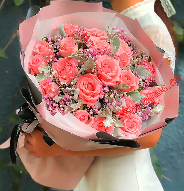 爱人-18朵戴安娜玫瑰 银叶菊间插 搭配满天星，精美浅粉色包装纸搭配深色扎带