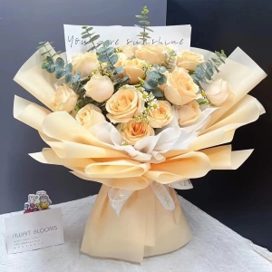 -19֦õ壬ʾգȼҶ׺ װӢֽĻɫŷֽװ