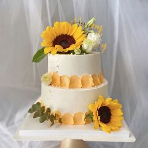 ����ɫ����-���㣨6��+10�磩Բ�����̵���,�����׺���տ�+������������״Χ��װ��