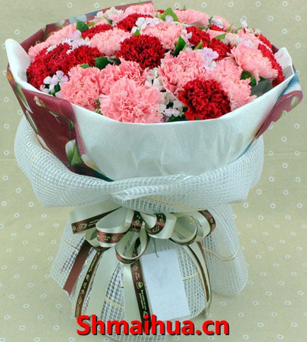 爱的天空-33朵红粉色康乃馨，相思梅，绿叶点缀搭配，选用韩式网纱，柔性韩花纸圆形包装，白色咖啡色绸带蝴蝶结束扎，组成美丽花束